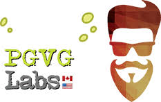 PG VG Labs Logo