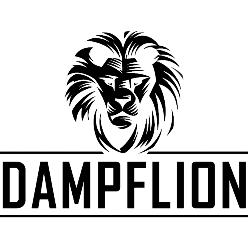 Dampflion Logo