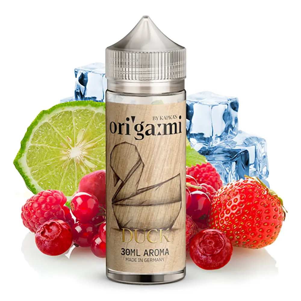 Aroma Origami Duck - Kapkas